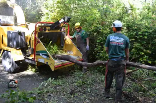 tree services Blackhawk